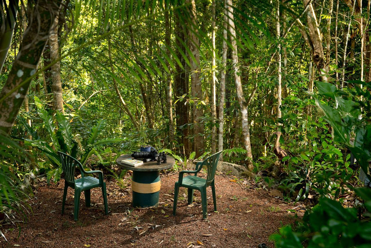Sharlynn By The River Malanda Exterior photo
