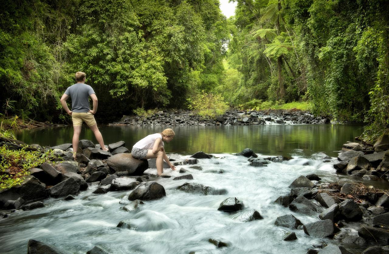 Sharlynn By The River Malanda Exterior photo