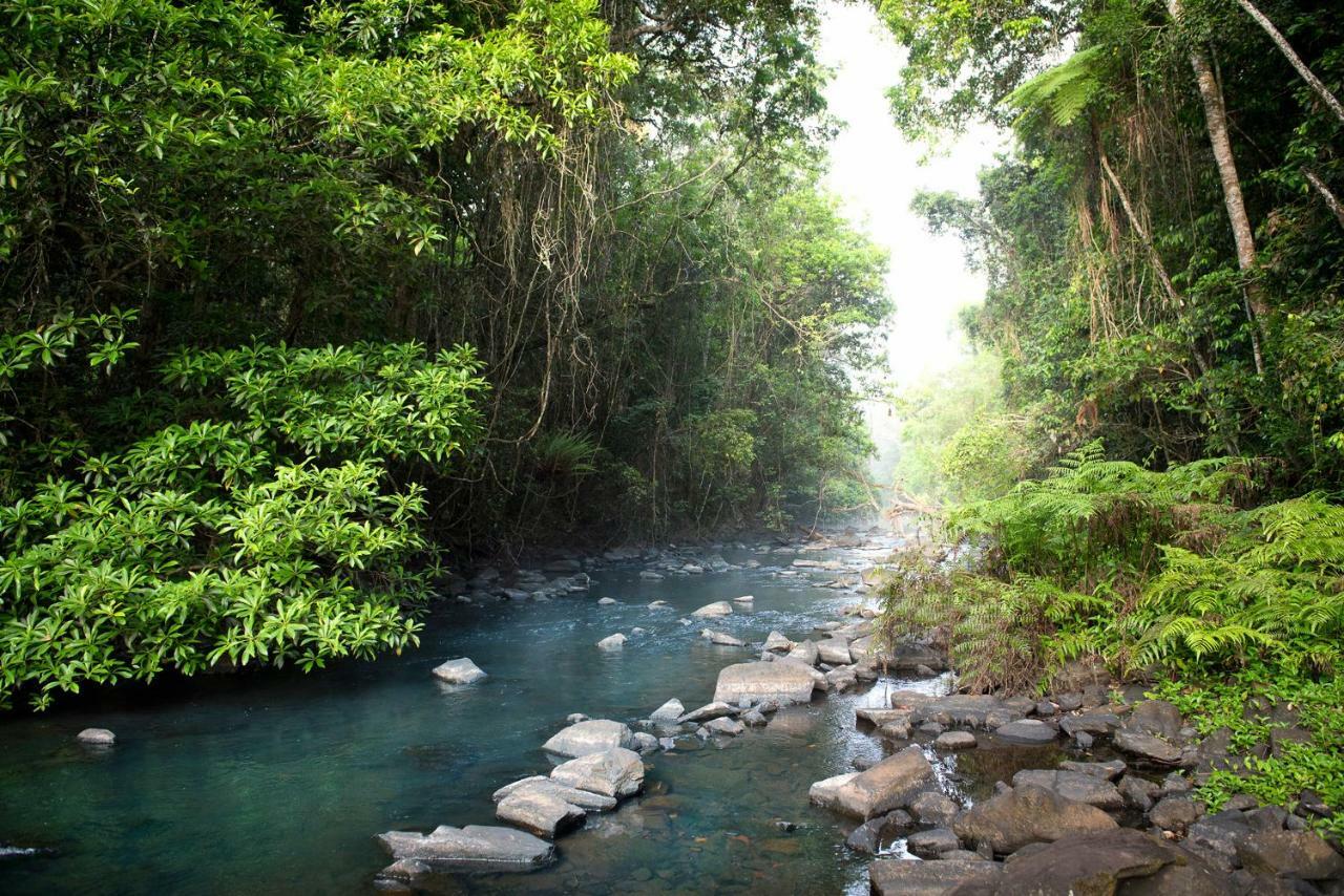 Sharlynn By The River Malanda Exterior photo